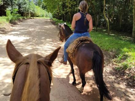 Cavalgada por estrada de terra cercada de mata