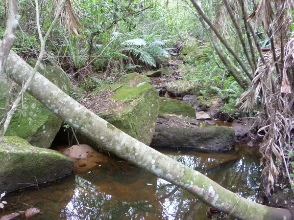 Foto 3 de 20 — BOM RETIRO, Sítio / chácara, Eldorado do Sul