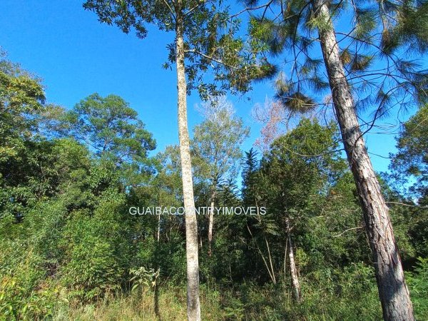 Foto 3 de 5 — PARQUE ELDORADO, Sítio / chácara, Parque Eldorado
