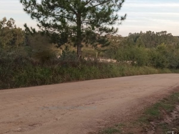 Foto 5 de 13 — PARQUE ELDORADO, Área, Parque Eldorado