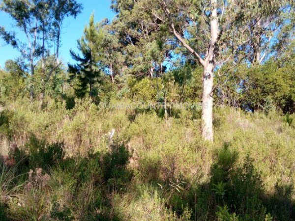 Foto 4 de 5 — GUAIBA COUNTRY, Área, Guaíba Country Clube