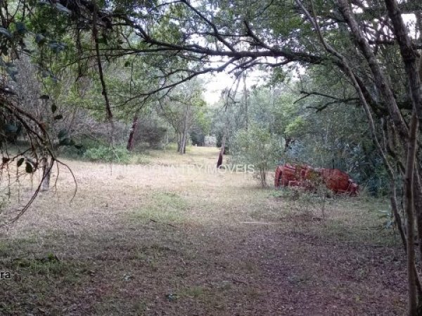 Foto 2 de 14 — PARQUE ELDORADO, Sítio / chácara, Parque Eldorado