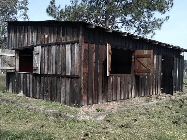 Foto 5 de 8 — PARQUE ELDORADO, Área, Parque Eldorado