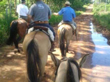 Grupo de cavaleiros em cavalgada por uma estrada do loteamento