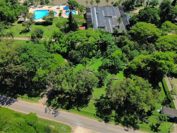 Casas com piscina e ruas arborizadas vistas de cima