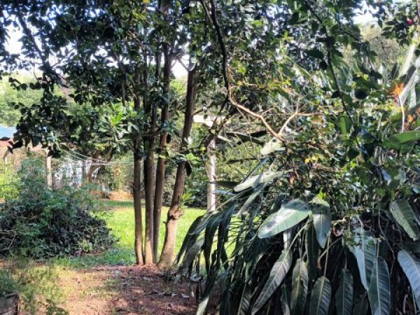 Foto 2 de 18 — PARQUE ELDORADO, Sítio / chácara, Parque Eldorado