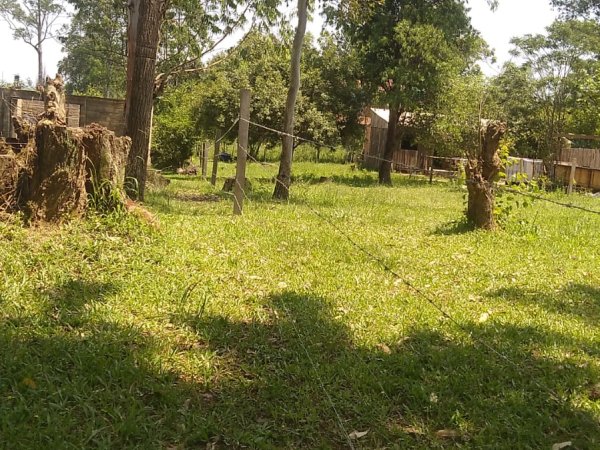 Foto 4 de 8 — GUAIBA COUNTRY CLUBE, Terreno em Guaíba Country Club, Guaíba Country Clube