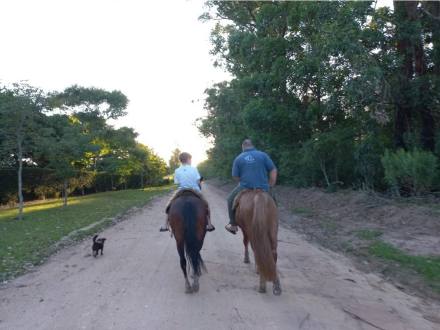 Cavalgada no fim da tarde, acompanhada por um cachorro