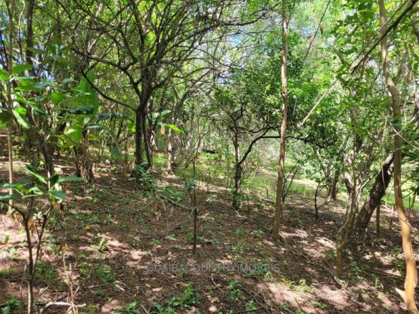 Foto 4 de 15 — PARQUE DAS ACACIAS, Sítio / chácara, Eldorado do Sul