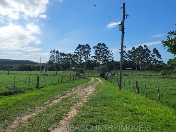 Foto 3 de 27 — ELDORDO DO SUL, Sítio / chácara, Eldorado do Sul