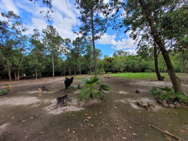 Foto 2 de 8 — PARQUE ELDORADO, Área, Parque Eldorado
