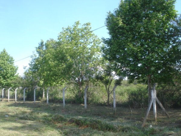 Foto 3 de 3 — GUAIBA COUNTRY, Terreno, Guaíba Country Clube