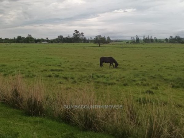 Foto 3 de 3 — PARQUE ELDORADO, Área, Parque Eldorado
