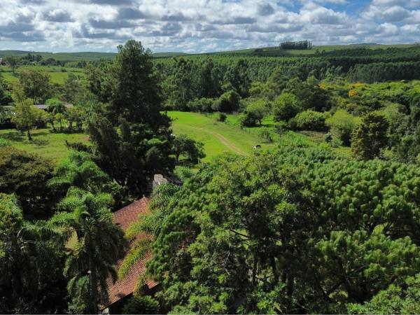 Mata preservada da região, com o campo aberto no horizonte