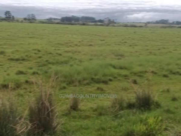 Foto 1 de 3 — PARQUE ELDORADO, Área, Parque Eldorado