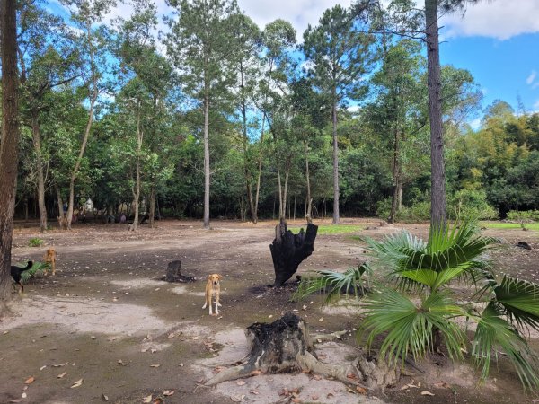 Foto 4 de 8 — PARQUE ELDORADO, Área, Parque Eldorado