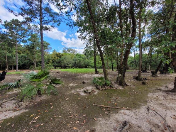 Foto 5 de 8 — PARQUE ELDORADO, Área, Parque Eldorado