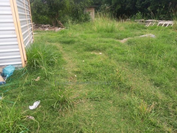 Foto 4 de 7 — ARROIO DOS RATOS, Terreno, Arroio dos Ratos