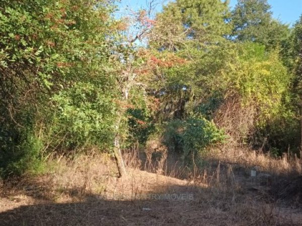 Foto 5 de 11 — PARQUE ELDORADO, Casa, Parque Eldorado