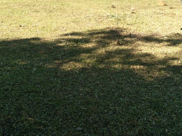 Foto 5 de 8 — GUAIBA COUNTRY CLUBE, Terreno em Guaíba Country Club, Guaíba Country Clube
