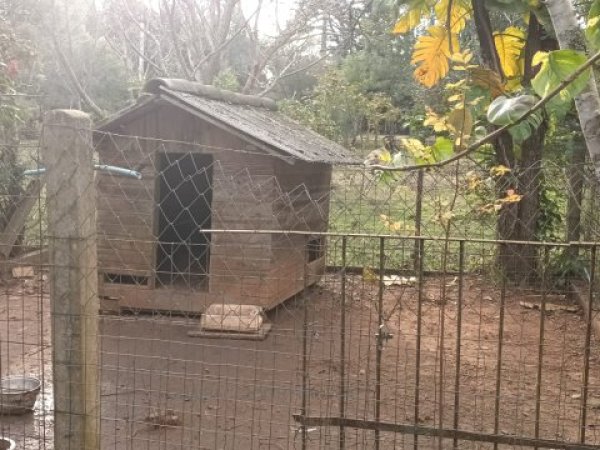 Foto 4 de 12 — PARQUE ELDORADO, Sítio / chácara, Parque Eldorado