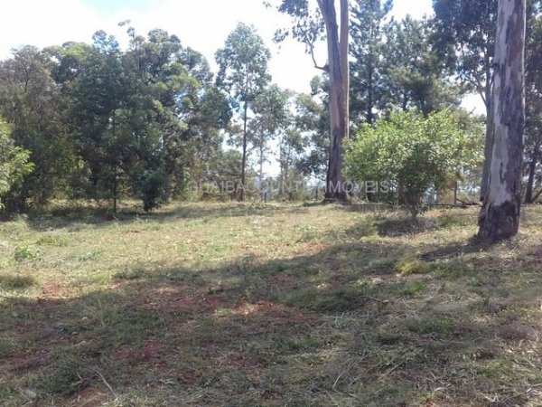 Foto 4 de 9 — GUAIBA COUNTRY, Área em Guaíba Country Club, Guaíba Country Clube