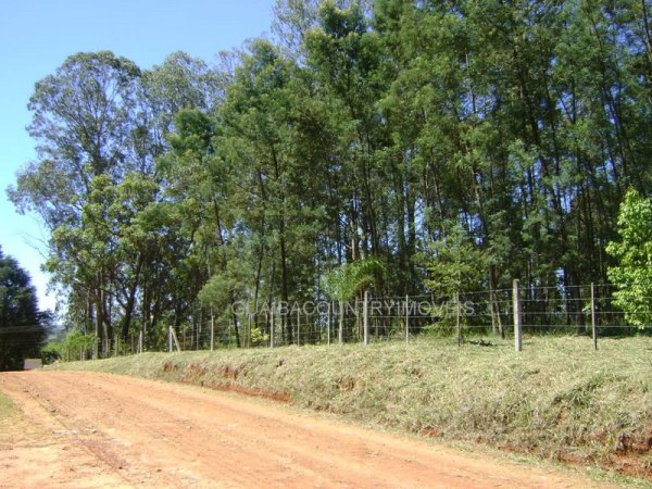 Foto 5 de 9 — GUAIBA COUNTRY, Área em Guaíba Country Club, Guaíba Country Clube