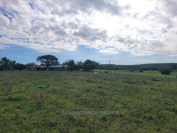 Foto 1 de 27 — ELDORDO DO SUL, Sítio / chácara, Eldorado do Sul