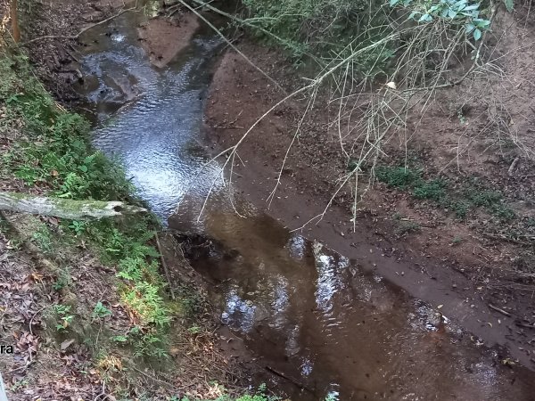 Foto 3 de 21 — PARQUE ELDORADO, Sítio / chácara, Parque Eldorado