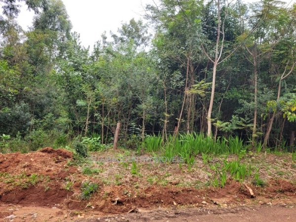 Foto 3 de 3 — GUAIBA COUNTRY CLUBE, Terreno em Guaíba Country Club, Guaíba Country Clube