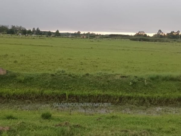Foto 2 de 3 — PARQUE ELDORADO, Área, Parque Eldorado