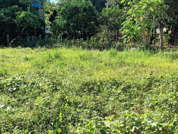 Foto 5 de 15 — ARROIO DOS RATOS, Sítio / chácara, Arroio dos Ratos