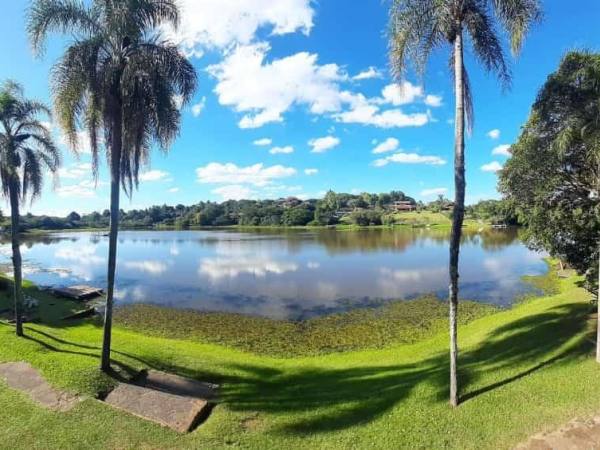 Vista panorâmica do lago, com palmeiras e gramado na margem