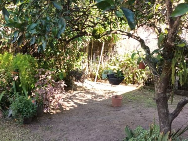 Foto 5 de 22 — PARQUE ELDORADO, Sítio / chácara, Eldorado do Sul