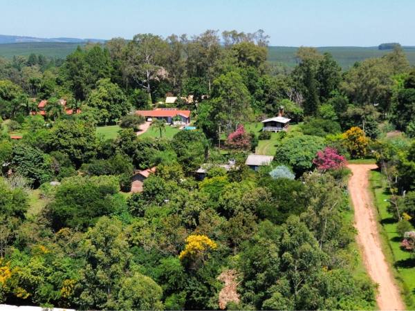 Ruas de saibro e casas entre a mata, com árvores floridas no Parque Eldorado