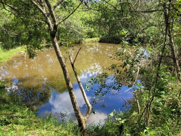 Foto 2 de 15 — PARQUE DAS ACACIAS, Sítio / chácara, Eldorado do Sul