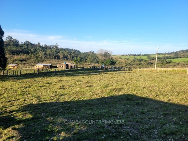 Foto 5 de 34 — ELDORDO DO SUL, Área, Eldorado do Sul