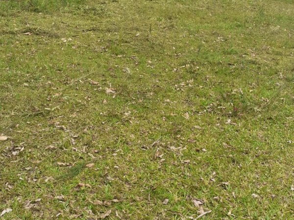 Foto 3 de 8 — GUAIBA COUNTRY CLUBE, Terreno em Guaíba Country Club, Guaíba Country Clube
