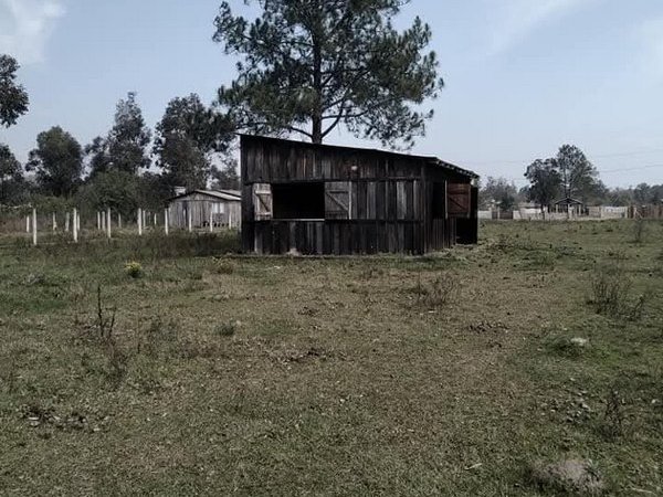 Foto 1 de 8 — PARQUE ELDORADO, Área, Parque Eldorado