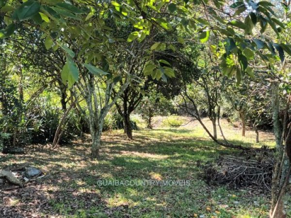 Foto 5 de 16 — PARQUE ELDORADO, Sítio / chácara, Parque Eldorado