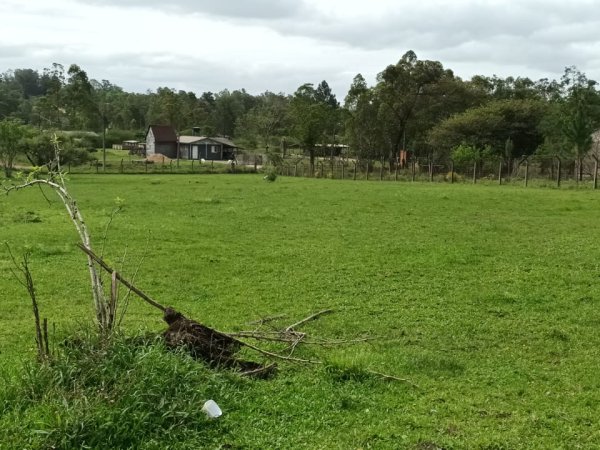Foto 2 de 19 — SÍTIO DO LAGO, Sítio / chácara em Guaíba Country Club, Guaíba Country Clube