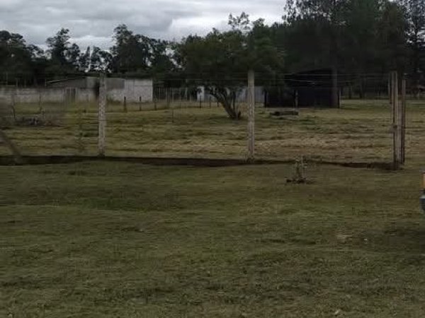 Foto 3 de 8 — PARQUE ELDORADO, Área, Parque Eldorado