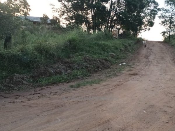 Foto 4 de 13 — PARQUE ELDORADO, Área, Parque Eldorado